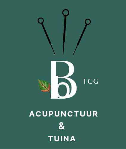 Acupunctuur & Tuina massage